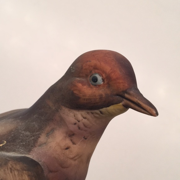 Mourning Dove - Picture 3 of 7